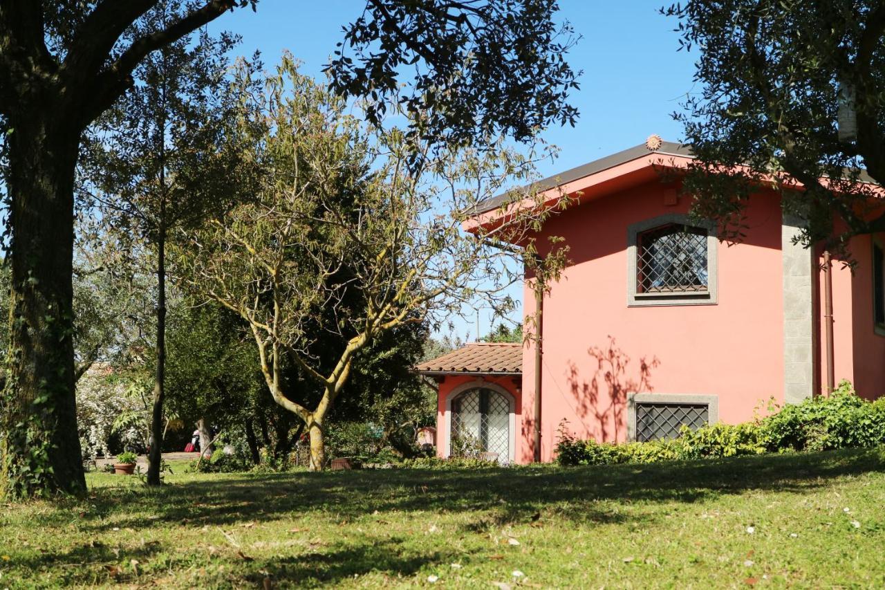 B&B Ai Glicini - Castelli Romani Marino Eksteriør bilde