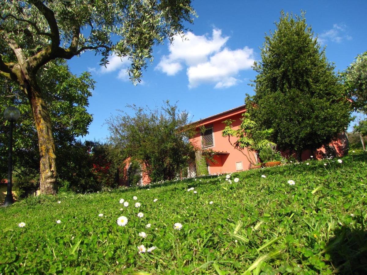 B&B Ai Glicini - Castelli Romani Marino Eksteriør bilde