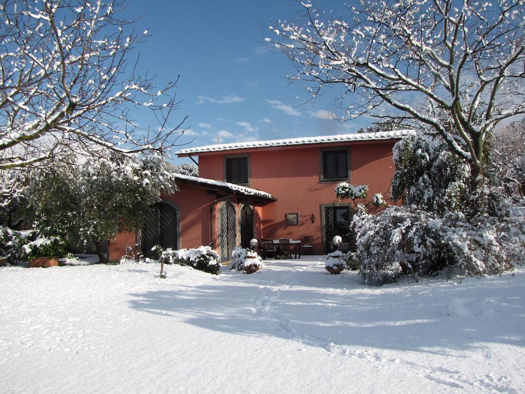 B&B Ai Glicini - Castelli Romani Marino Eksteriør bilde